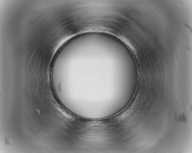 X0000095510846200712140933