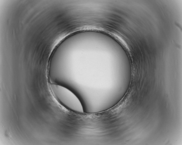 X0000095510847200712140933