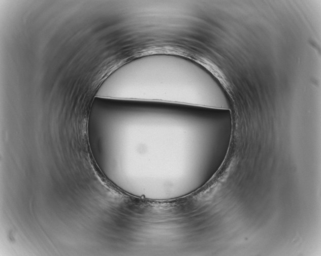 X0000095510849200712140933