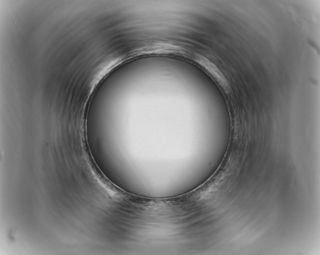 X0000095510850200712140933