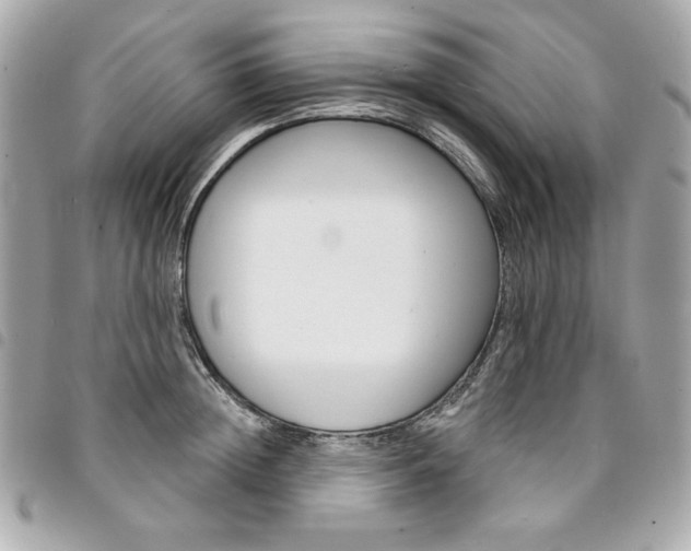 X0000095510852200712140933