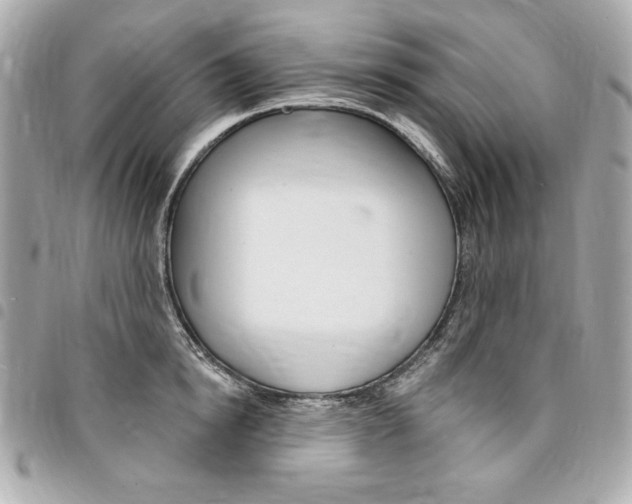 X0000095510854200712140933