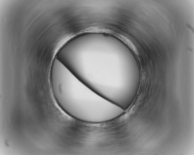 X0000095510855200712140933