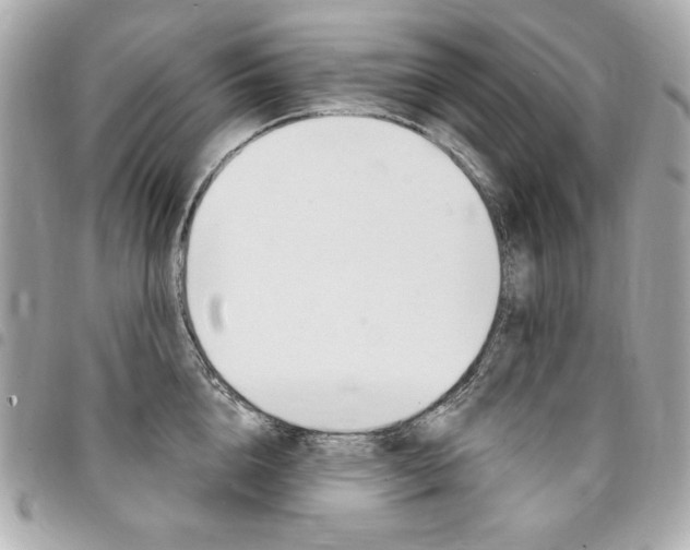 X0000095510856200712140933