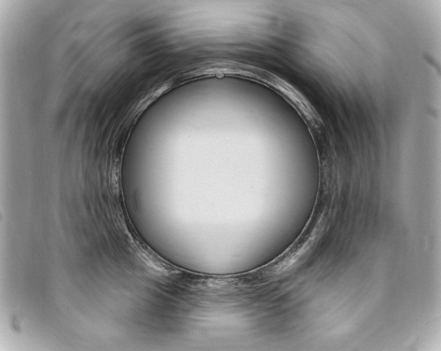 X0000095510857200712140933