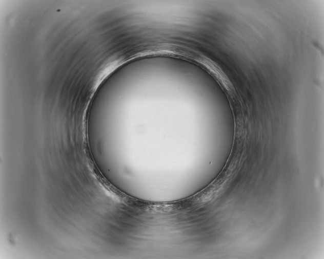 X0000095510858200712140933