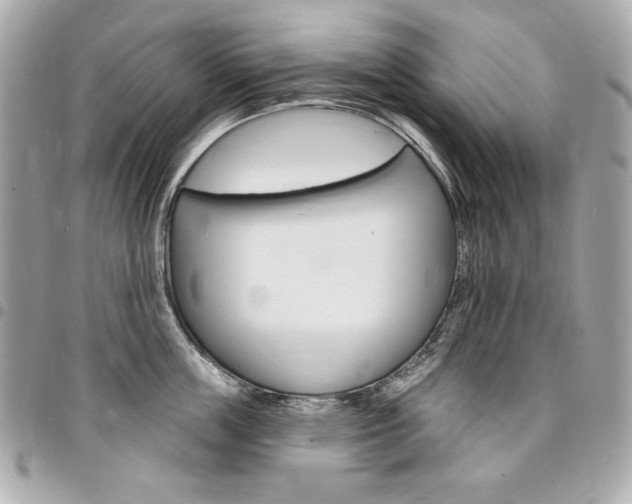 X0000095510859200712140933