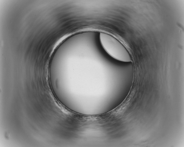 X0000095510862200712140933