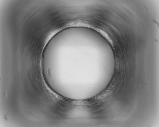 X0000095510863200712140933