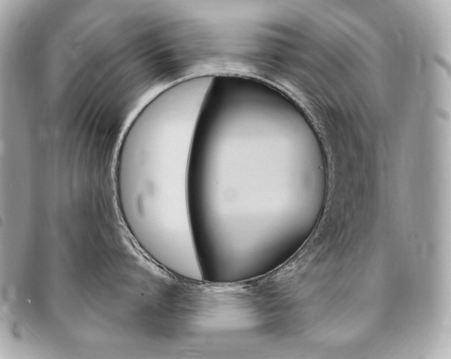 X0000095510864200712140933