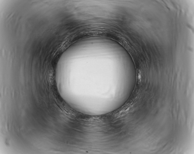 X0000095510867200712140932