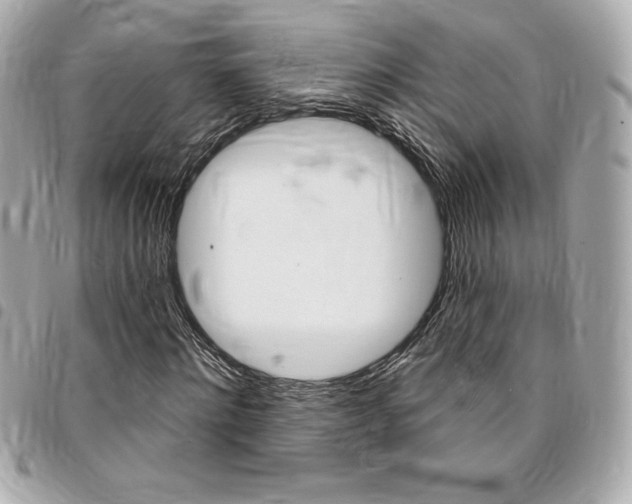 X0000095510868200712140932