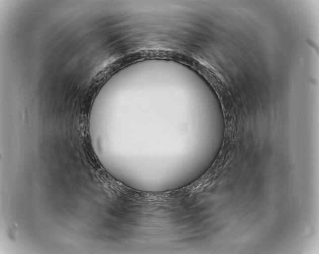 X0000095510870200712140932