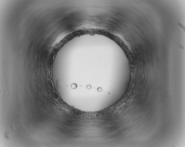 X0000095510871200712140932