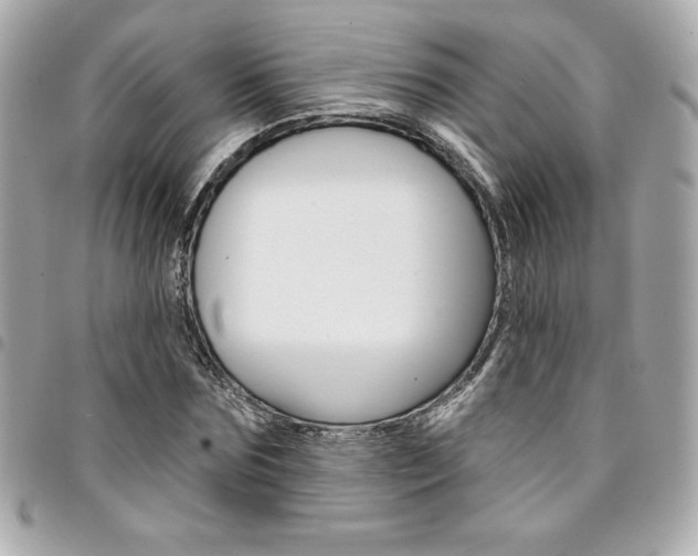 X0000095510875200712140932