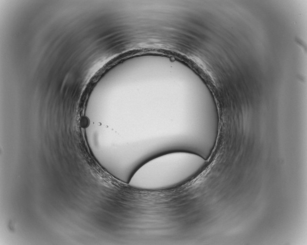 X0000095510879200712140932