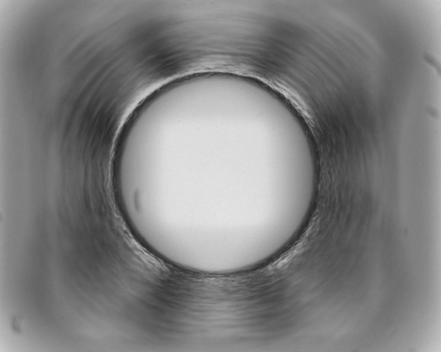 X0000095510880200712140932
