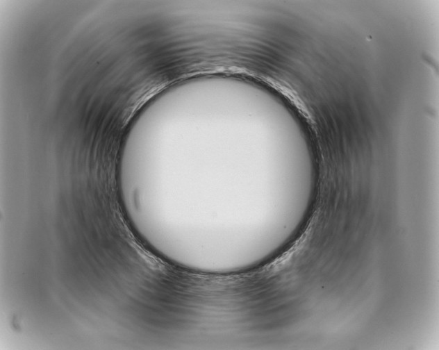 X0000095510881200712140932