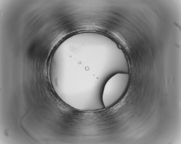 X0000095510883200712140932