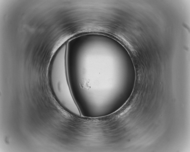 X0000095510885200712140932