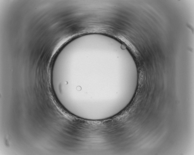 X0000095510886200712140932