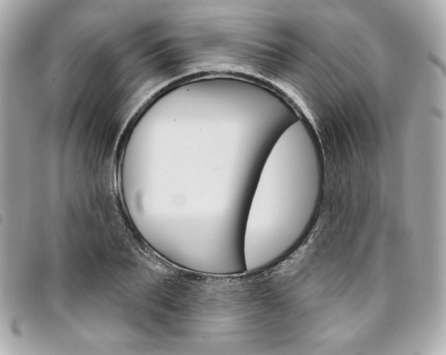 X0000095510887200712140932