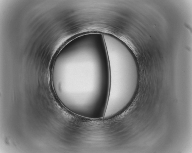 X0000095510888200712140932