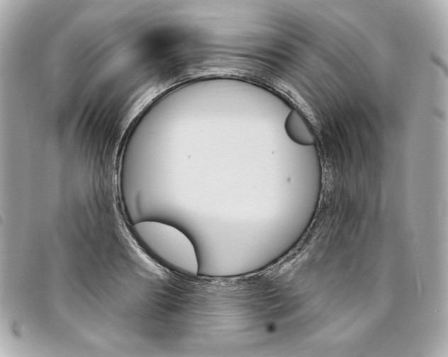 X0000095510890200712140932
