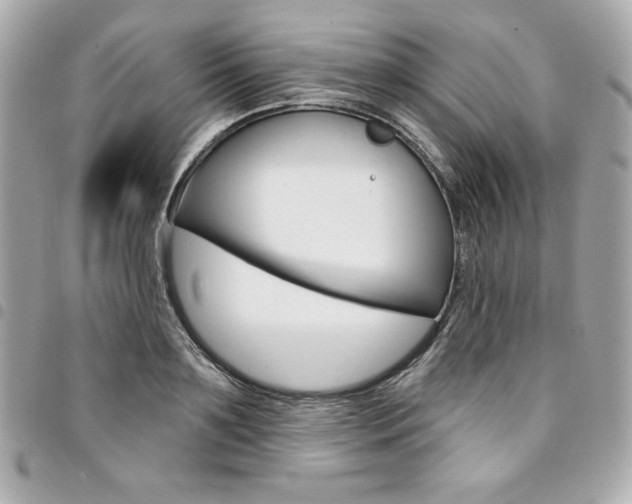 X0000095510891200712140932