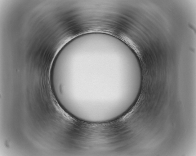 X0000095510892200712140932