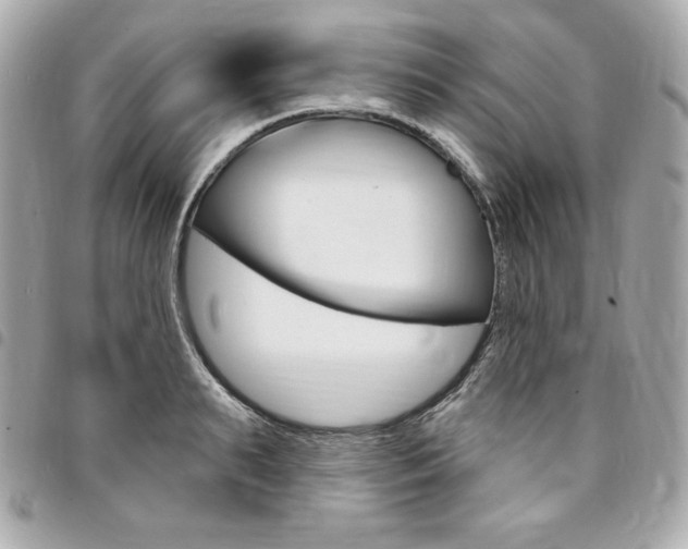 X0000095510895200712140932