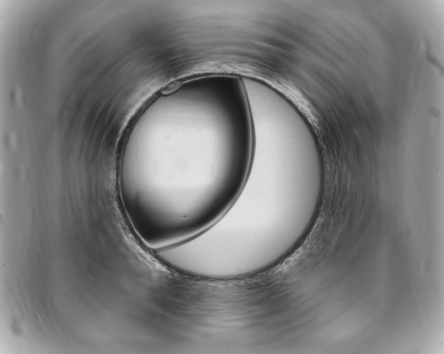 X0000095510896200712140932
