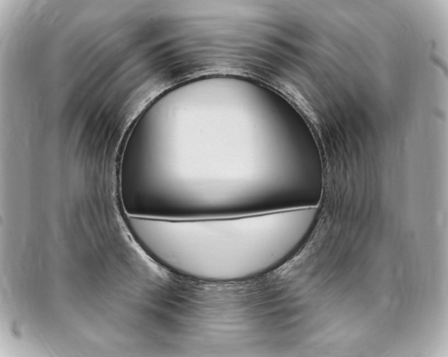 X0000095510898200712140932