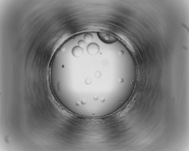 X0000095510899200712140932