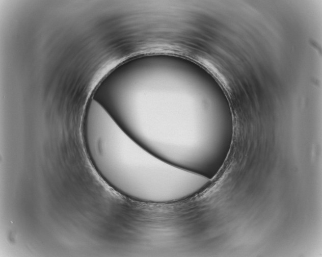 X0000095510901200712140932