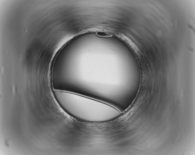 X0000095510902200712140932