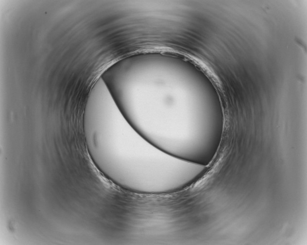 X0000095510905200712140932