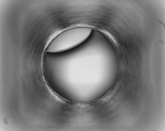 X0000095510910200712140932