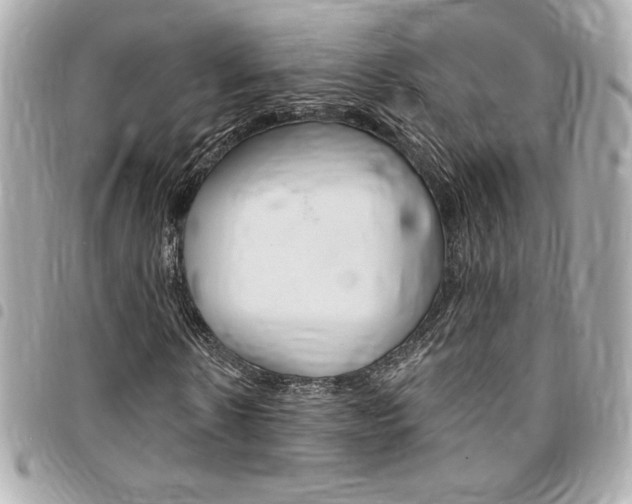 X0000095510914200712140931