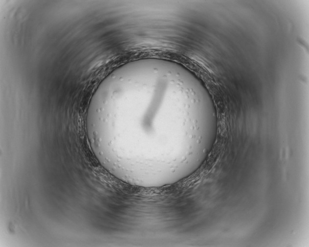 X0000095510917200712140931