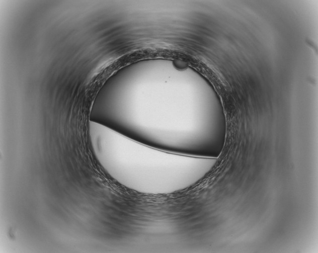 X0000095510919200712140931