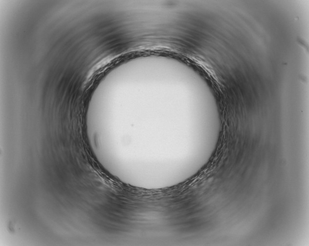 X0000095510920200712140931