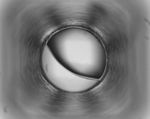 X0000095510922200712140931