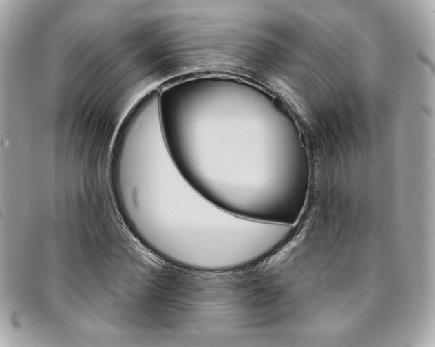X0000095510924200712140931