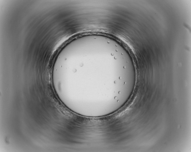 X0000095510925200712140931