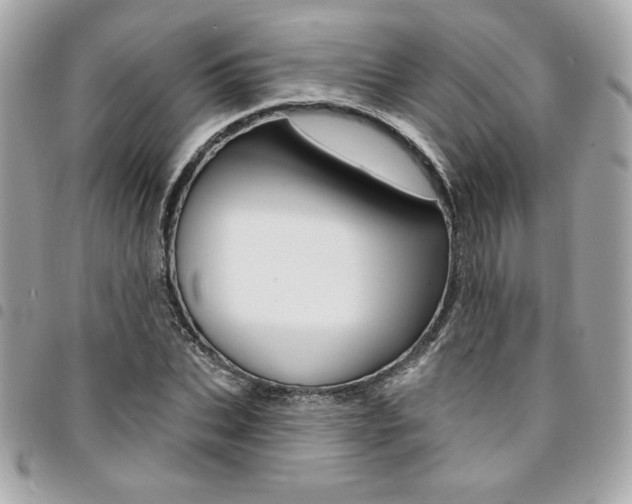 X0000095510927200712140931