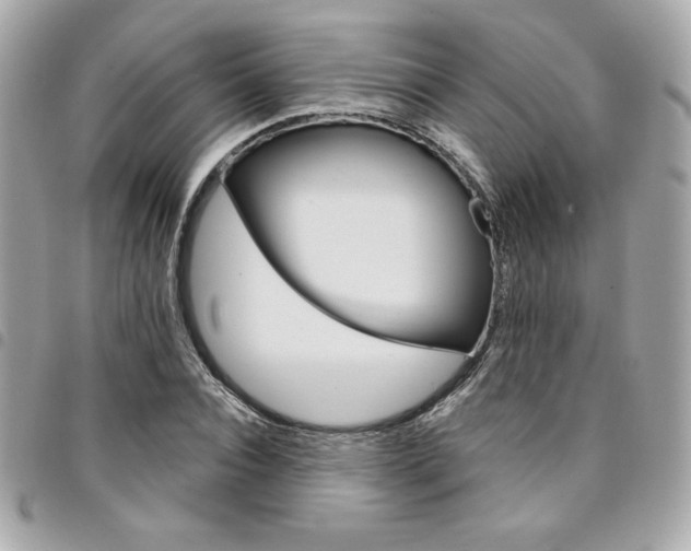 X0000095510928200712140931