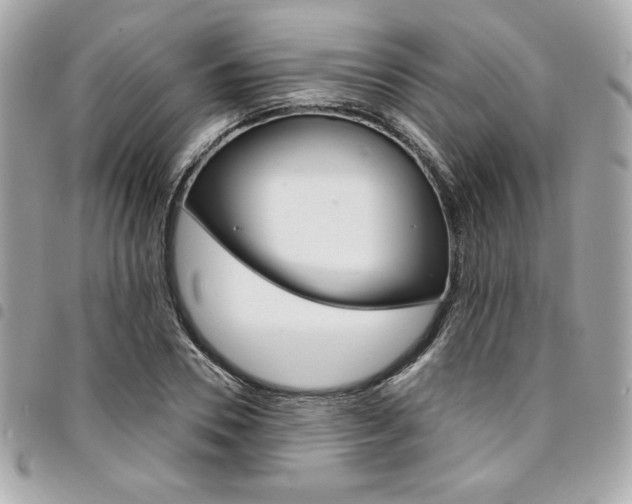 X0000095510930200712140931