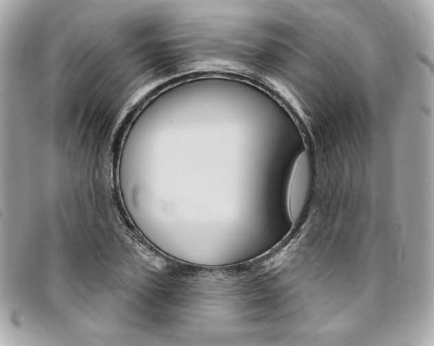 X0000095510931200712140931