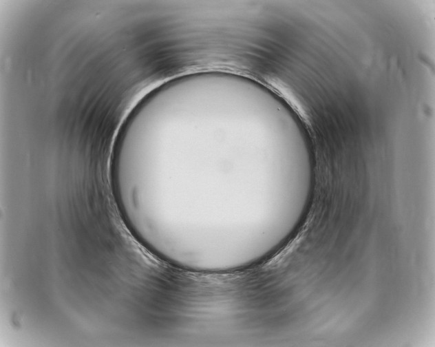X0000095510932200712140931